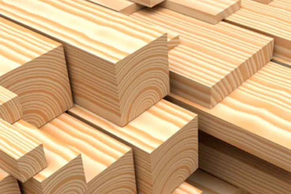 White wood Suppliers in Dubai - High-quality softwood available for construction, furniture, and interior projects from Woodvista Traders Dubai.